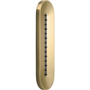 Single Function Body Spray in Vibrant® Brushed Moderne Brass