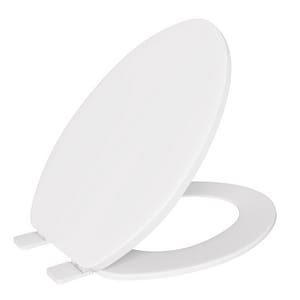 Elongated Closed Front Toilet Seat with Cover in White