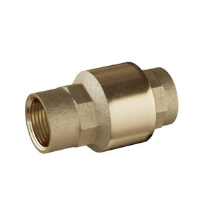 Lf 1/2 Brs Thrd Sprg Chk Vlv