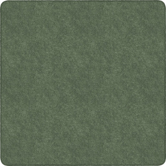 Flagship Carpets Amerisoft Solid Color Rug - 12 ft Length x 12 ft Width - Square - Sage Green - Nylon, Polyester