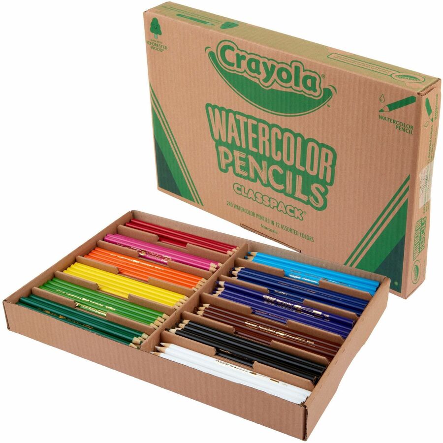 Crayola Watercolor Pencils Classpack, 240 Count, 12 Colors - Sky Blue, Red, Blue, Magenta, Orange, Violet, Brown, Yellow, Green, Yellow Green, White, ... Lead - 240 / Pack