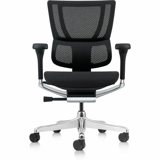 Eurotech Ergohuman Xtreme Executive Chair - Mesh Back Material - High Back - 5-star Base - Black - Armrest - 1 Each