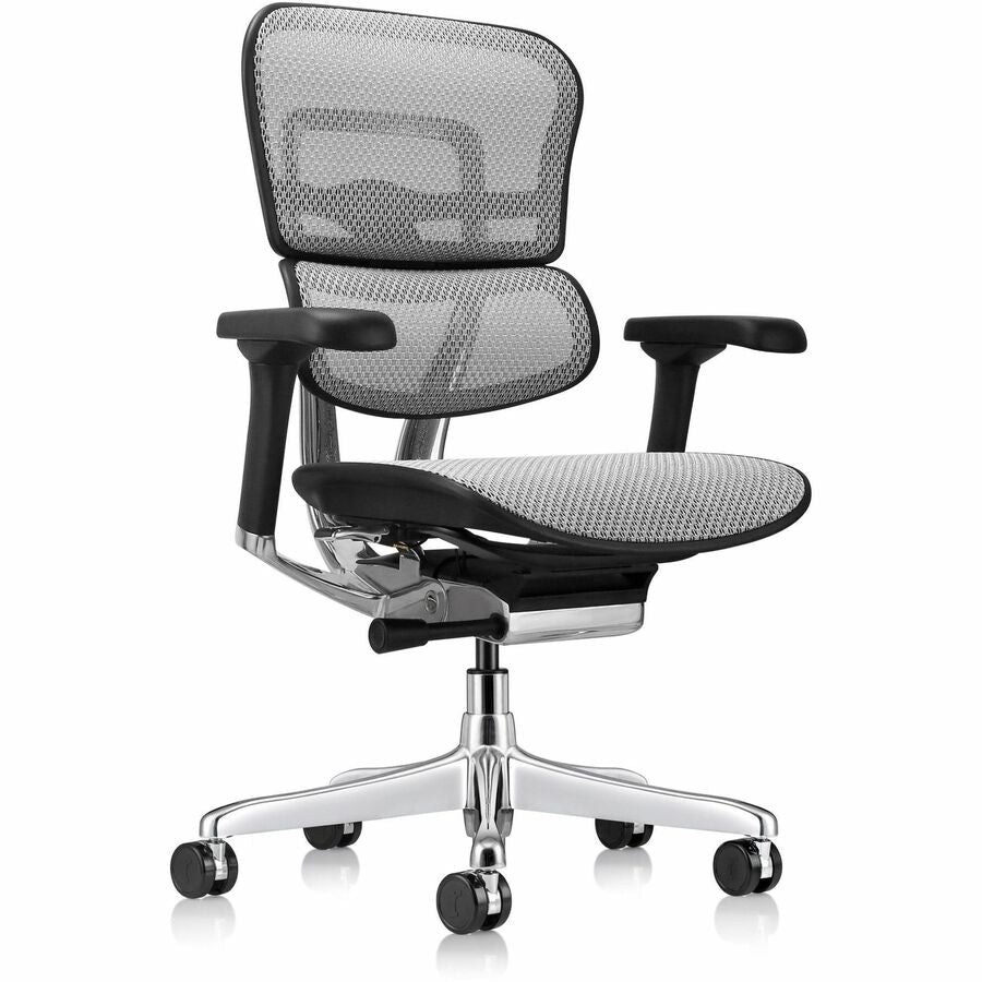Eurotech ErgoHuman Gen2 Executive All-Mesh Chair - Fiber Polymer Composite (FPC) Frame Material - 5-star Base - Gray - Mesh - Armrest - 1 Each