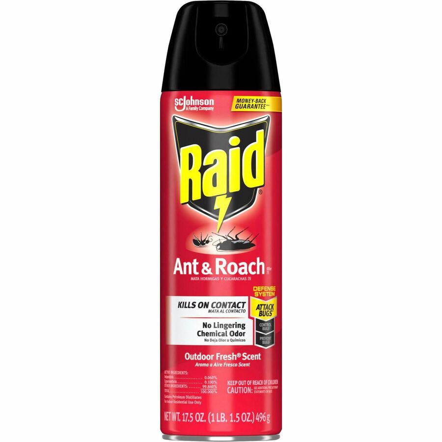 Raid Ant & Roach Killer Spray - Spray - Kills Ants, Cockroaches, Water Bugs, Palmetto Bug, Silverfish, Carpet Beetle, Earwig, Spider, Lady Beetle, Black Widow Spider - 17.50 fl oz - Clear - 12 / Carton