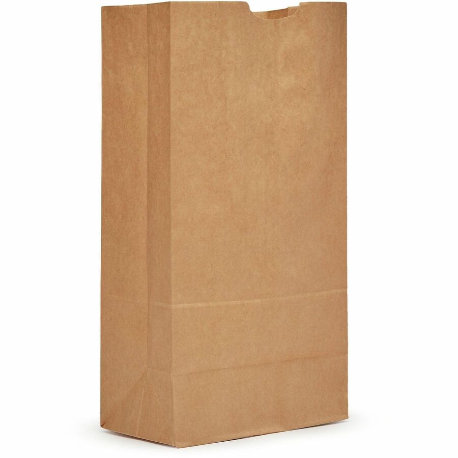 AJM #20 Tall Extra Heavy-Duty Kraft Paper Grocery Bags - #20 - Natural Kraft - Paper - Grocery - 500 / Carton