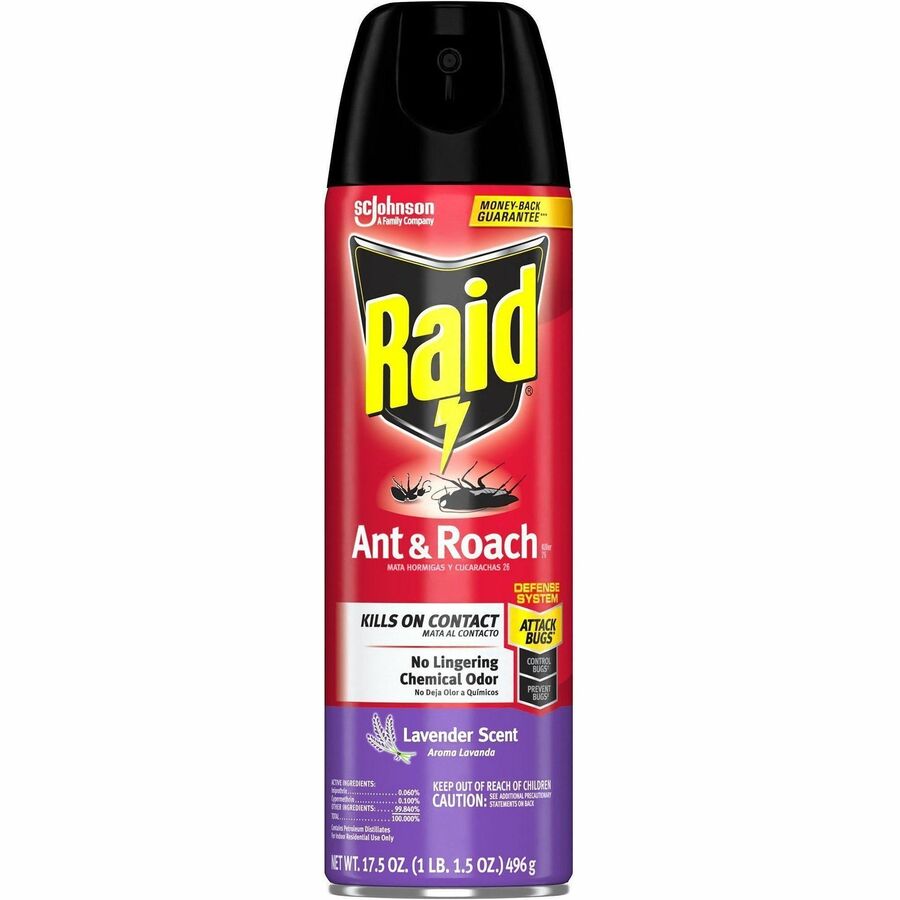 Raid Ant & Roach Killer Spray - Spray - Kills Water Bugs, Palmetto Bug, Silverfish, Carpet Beetle, Earwig, Spider, Asian Ladybeetle, Lady Beetle, Black Widow Spider, Ants, Cockroaches, ... - 17.50 fl oz - Red - 12 / Carton