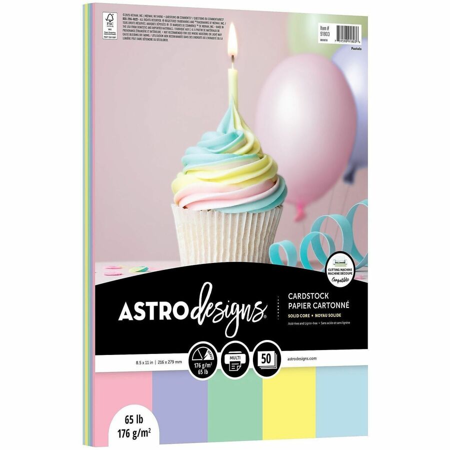 Wausau Paper Assorted Pastel Cardstock - Heavyweight - Pastel - 50 / Pack
