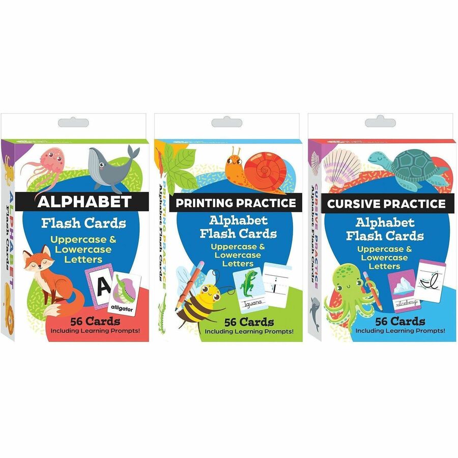 Shell Education Teacher Created Materials Literacy Skills Flash Cards Set - Skill Learning: Literacy Skills - 1 Each