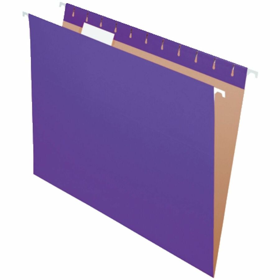 Business Source 1/5 Tab Cut Letter Hanging Folder - 8 1/2" x 11" - Kraft, Fiber - Purple - Label - 0% Recycled - 25 / Box