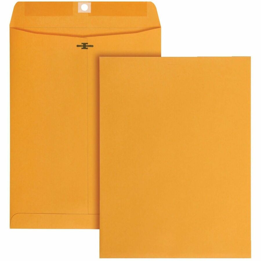 Business Source Self-Seal Catalog Envelopes - Catalog - 9" Width x 12" Length - Self-adhesive Seal - Kraft - Kraft Paper - 250 / Carton