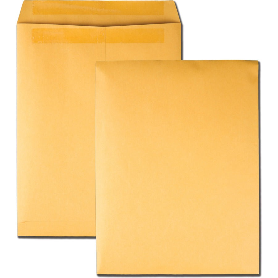 Quality Park 10 x 13 Catalog Envelopes with Redi-Seal&reg, Self-Sealing Closure - Catalog - #13 1/2 - 10" Width x 13" Length - 28 lb - Self-sealing - Kraft - Kraft - 250 / Box