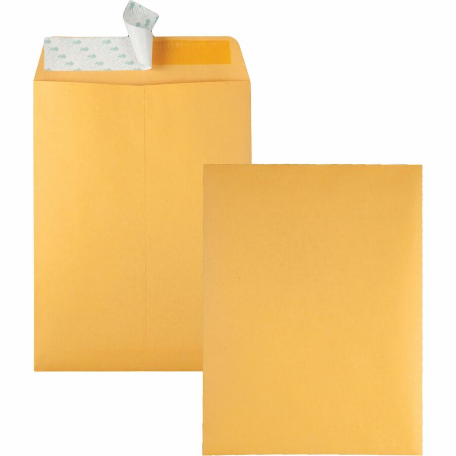 Quality Park 9 x 12 Catalog Envelopes with Redi-Strip&reg, Closure - Catalog - #10 1/2 - 9" Width x 12" Length - 28 lb - Self-sealing - Kraft - Kraft - 100 / Box