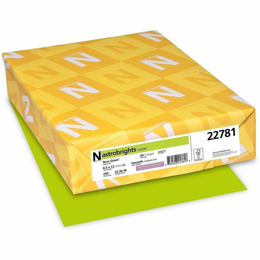 Astrobrights Color Card Stock - Terra Green - Letter - 8 1/2" x 11" - 65 lb Basis Weight - Smooth - Green Seal - Acid-free, Lignin-free, Durable, Heavyweight - Terra Green - 1 Pack