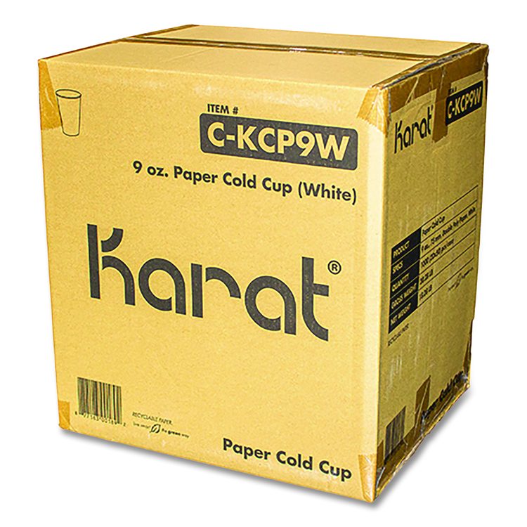 Double Poly Paper Cold Cups, 9 oz, White, 1,000/Carton