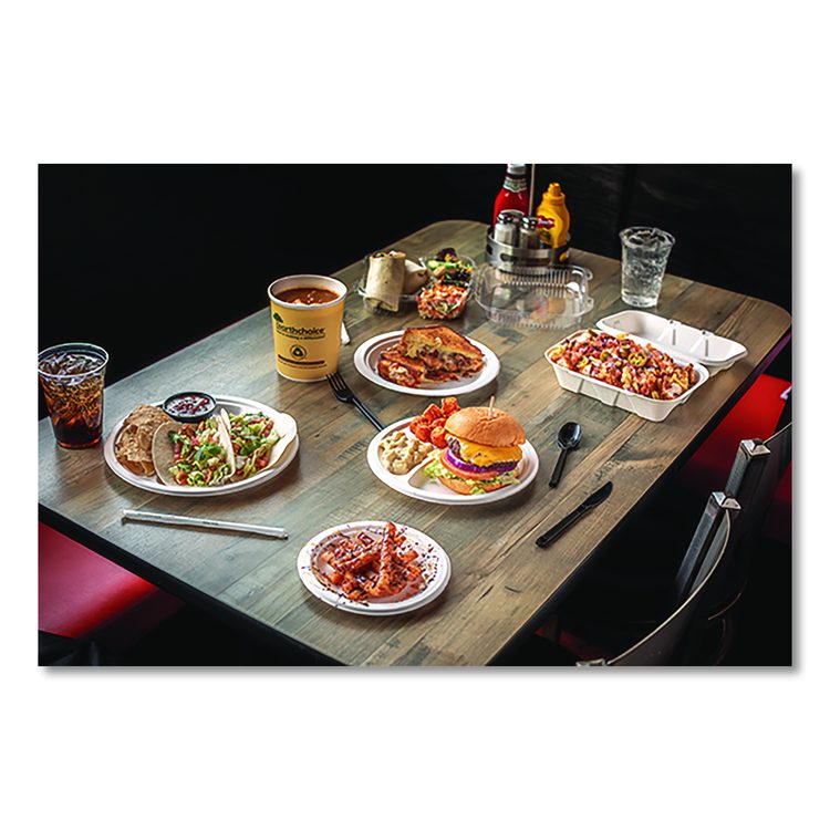 EarthChoice PFAS Free Compostable Dinnerware, Plate, Sugarcane, 10.25" dia, Natural, 500/Carton