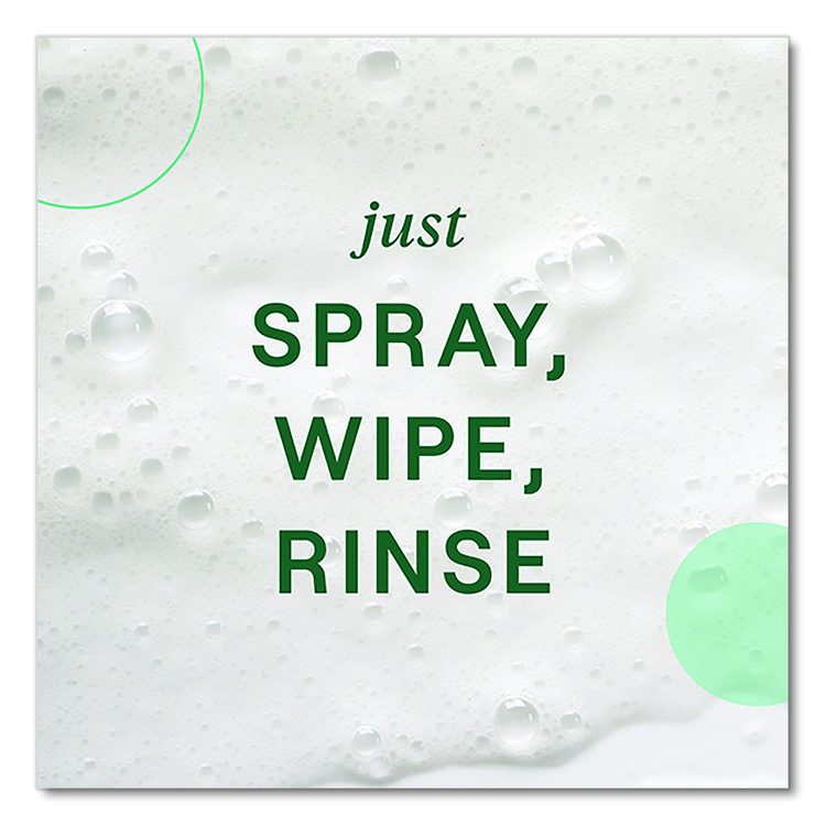 Foaming Dish Spray, Mandarin Orange Scent, 16 oz Bottle