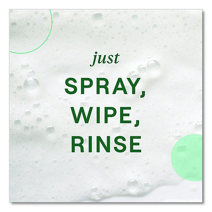 Foaming Dish Spray, Mandarin Orange Scent, 16 oz Bottle