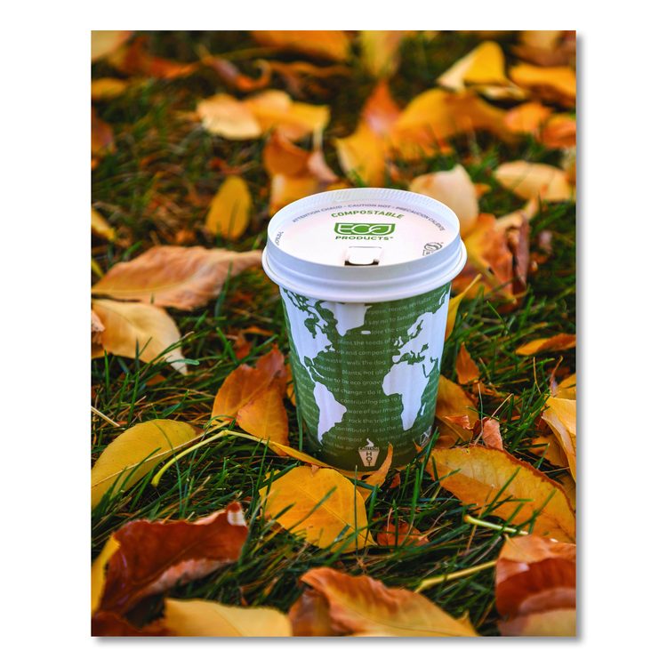 World Art Renewable and Compostable Insulated Hot Cups, 12 oz, Paper, Brown/White, 40/Pack, 15 Packs/Carton