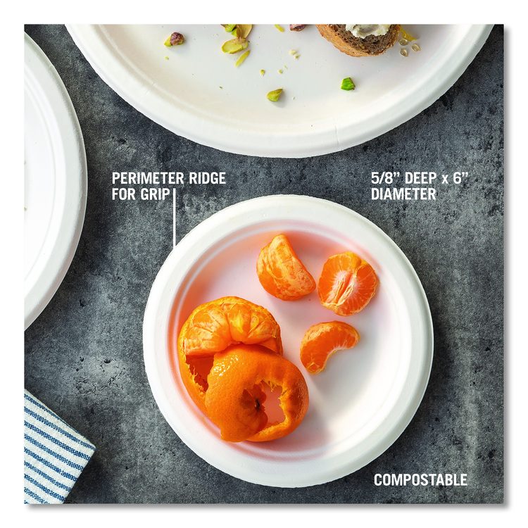EarthChoice PFAS Free Compostable Dinnerware, Plate, Sugarcane, 6" dia, Natural, 1,000/Carton