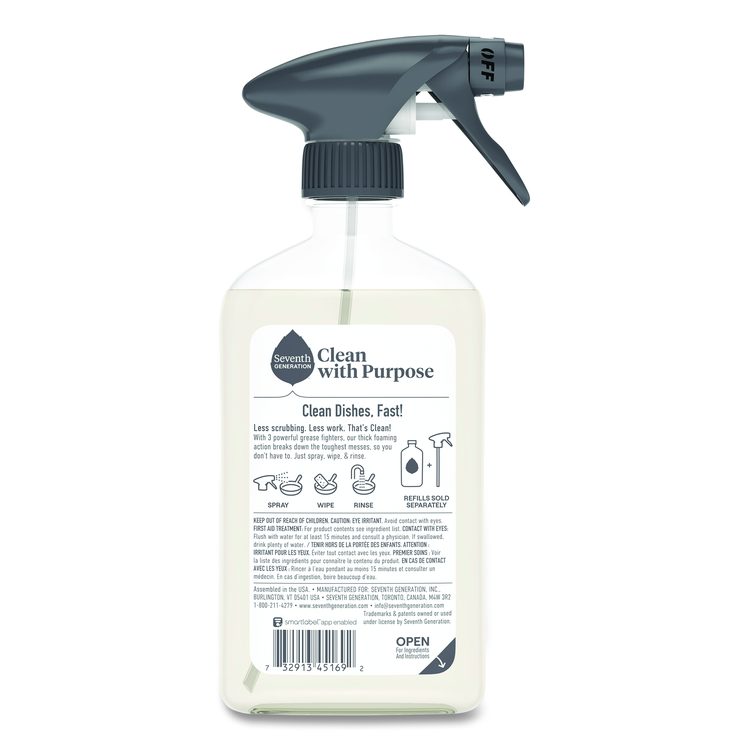 Foaming Dish Spray, Mandarin Orange Scent, 16 oz Bottle