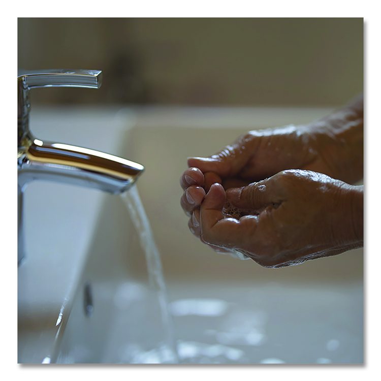 Hand Wash, Warm Oak Scent, 12.2 oz, 12/Carton