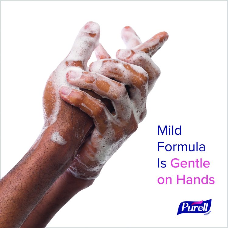 Antimicrobial Foaming Hand Soap Refill, For ES10 Dispensers, Plum Scent, 1,200 mL, 2/Carton