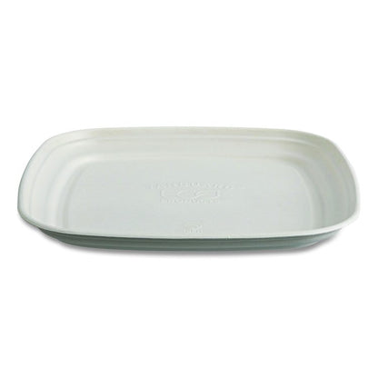 Regalia Renewable Sugarcane Tray, 9.06 x 14.37, White, Sugarcane, 100/Carton