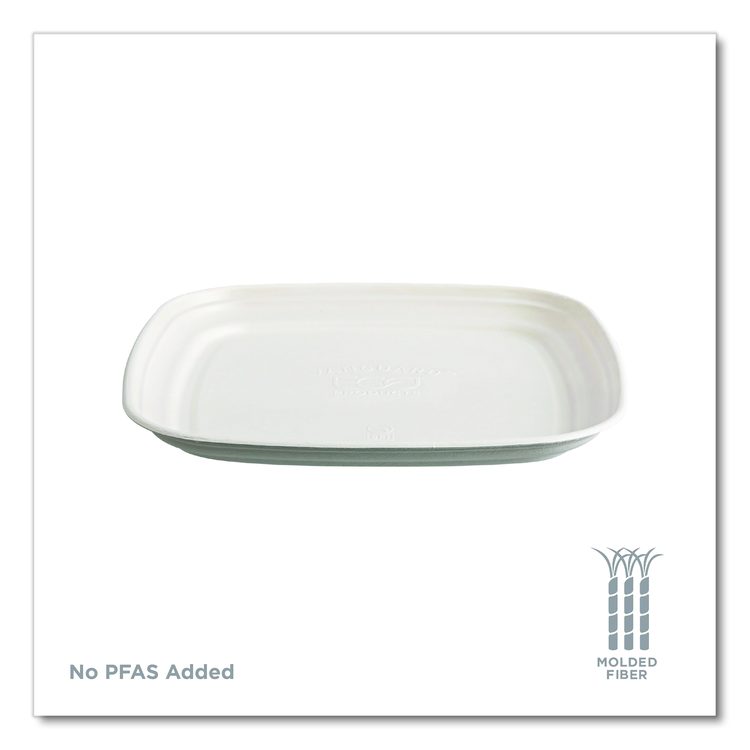 Regalia Renewable Sugarcane Tray, 9.06 x 14.37, White, Sugarcane, 100/Carton