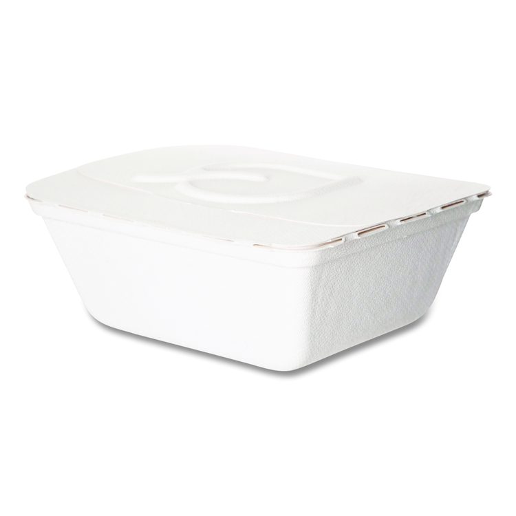 Vanguard Folia Renewable and Compostable Take-Out Container, 3 Compartments, 35 oz, 5.8 x 6.9 x 2.5, White, Sugarcane, 300/CT
