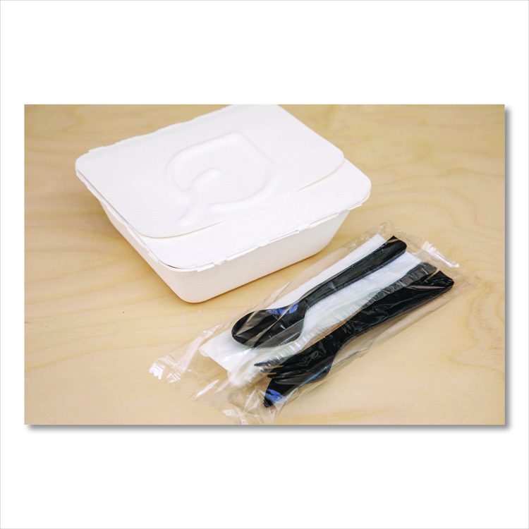 Vanguard Folia Renewable and Compostable Take-Out Container, 3 Compartments, 22 oz, 5.39 x 5.94 x 2, White, Sugarcane, 300/CT