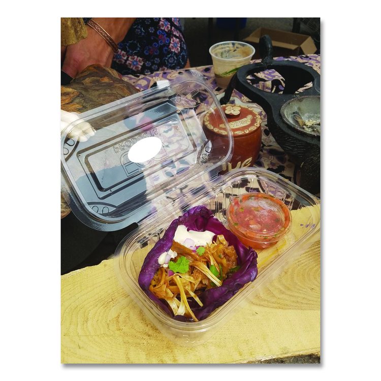 Renewable and Compostable Clear Clamshell Hinged Food Containers, 9 x 6 x 3, Plastic, 80/Pack, 3 Packs/Carton