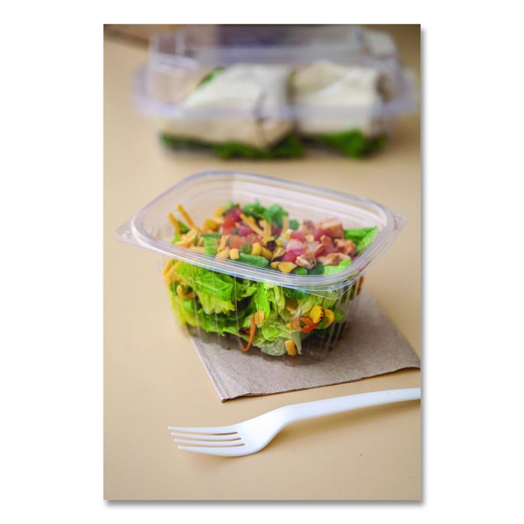 Renewable and Compostable Rectangular Deli Containers with Lid, 16 oz, 3 x 4 x 3, Clear, Plastic, 100/Pack, 3 Packs/Carton