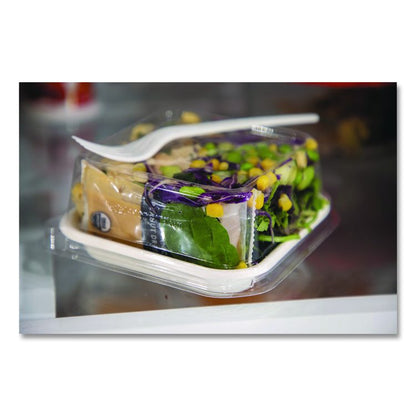 Renewable and Compostable Lids, Fits 5" Square Containers, Clear, Plastic, 50/Pack, 8 Packs/Carton
