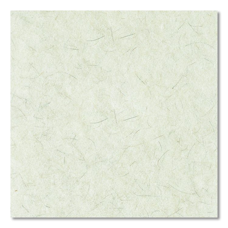 Natural Burnishing Floor Pads, 27" Diameter, White, 5/Carton