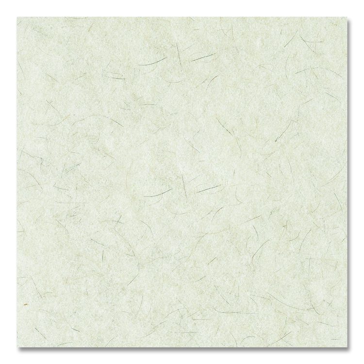 Natural Burnishing Floor Pads, 19" Diameter, White, 5/Carton