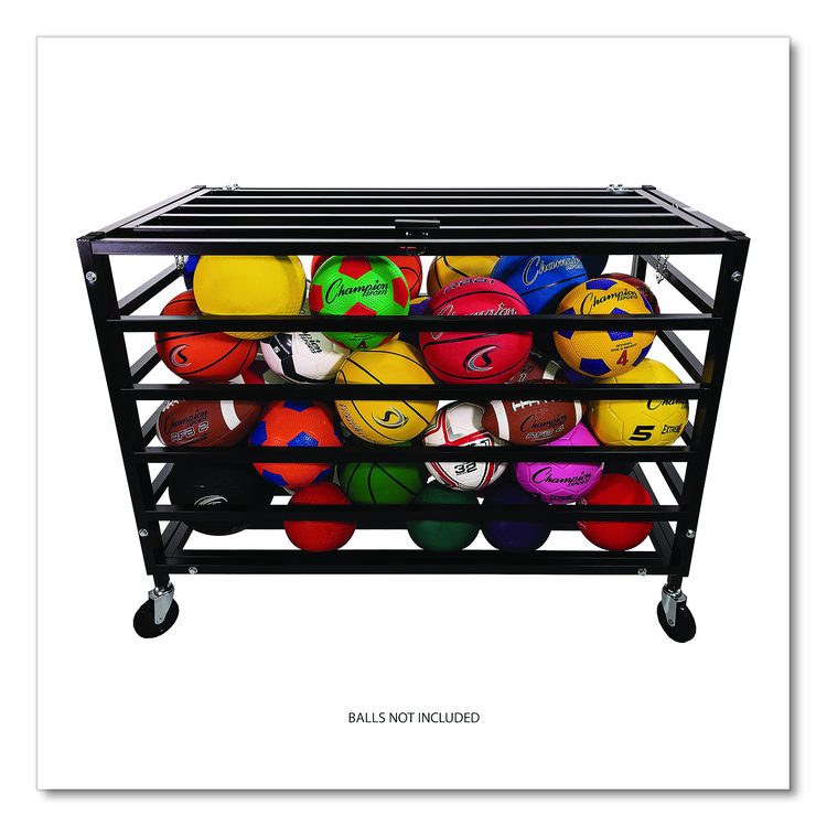 All Pro Lockable Ball Locker, Metal, 220 lb Capacity, 24 x 47 x 37, Black