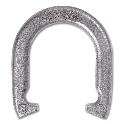Steel Horseshoe Set, (4) Horseshoes/(2) 20" Stakes/Nylon Carry Bag