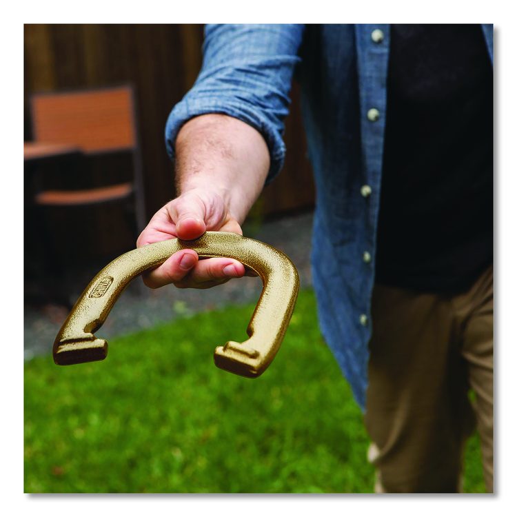 Steel Horseshoe Set, (4) Horseshoes/(2) 24" Stakes/Nylon Carry Bag