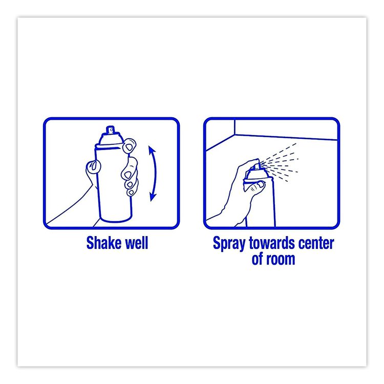 Handheld Air Deodorizer, Summer Breeze, 10 oz Aerosol Spray, 12/Carton