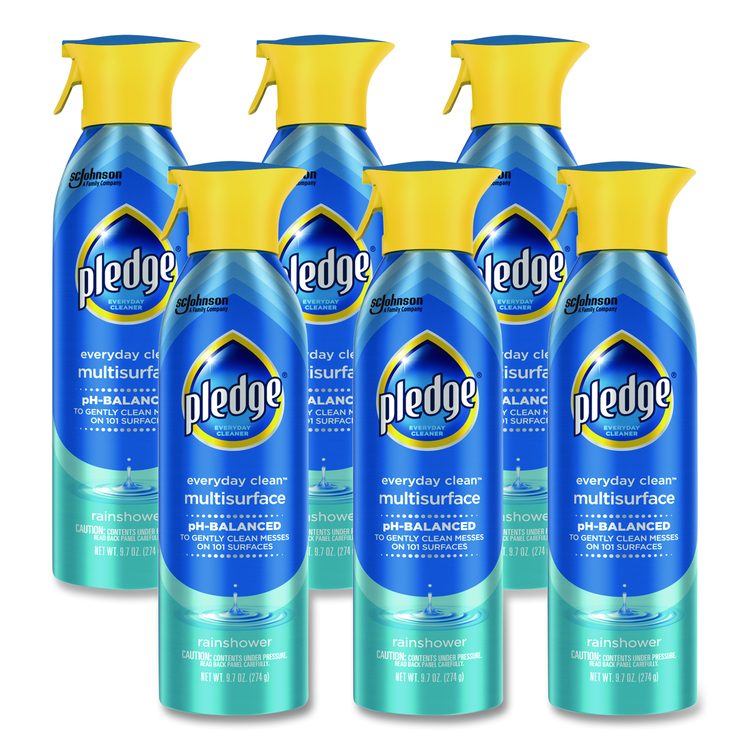Multi-Surface Everyday, Rainshower Scent, 9.7 oz Aerosol Spray, 6/Carton