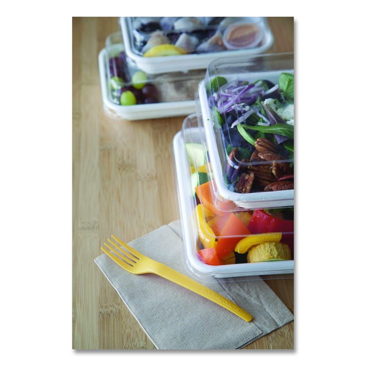 Renewable and Compostable Lids, 8.8 x 8.8 x 1.64, Clear, Plastic, 200/Carton