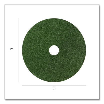 Black Diamond 3000 Grit Diamond Pad, 17" Diameter, Black and Green, 2/Carton