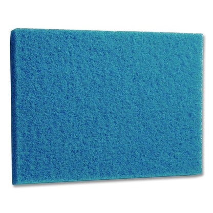 Cleaner Pad, 14 x 20, Blue, 5/Carton