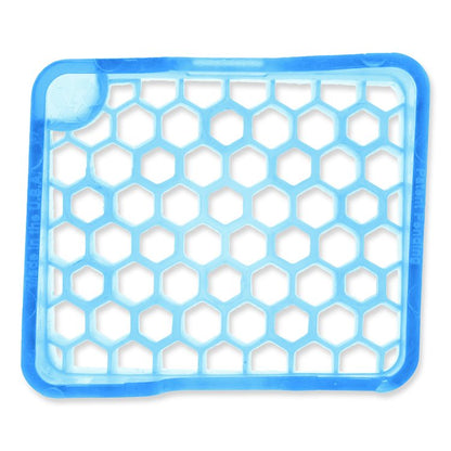 myfresh Refill, Cotton Blossom, 6/Box