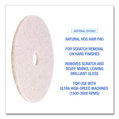 Natural Hog Hair Burnishing Floor Pads, 17" Diameter, Tan, 5/Carton