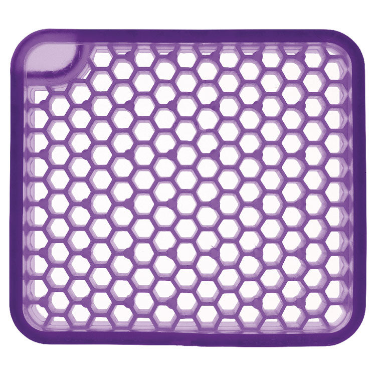 Ourfresh Airfreshener, Fabulous Refill, 48/Carton