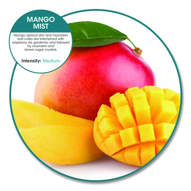 Anti-Splash Urinal Screen, Mango Mist Scent, Orange, 0.11 oz, 10/Box