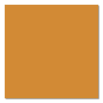 Insert Pan Handled Notched Cover, 6.38 x 0.39 x 10.38, Amber, Plastic, 6/Carton