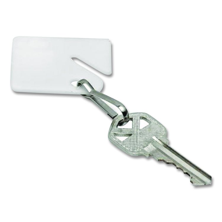 Plastic Identification Key Tags, White, 100/Pack