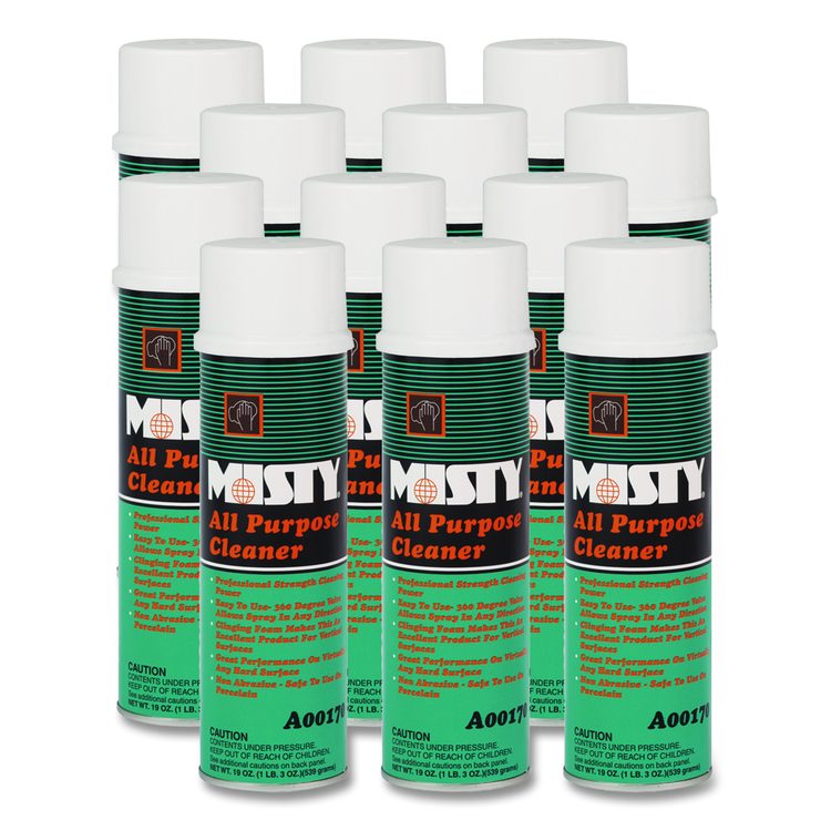 All-Purpose Cleaner, Mint Scent, 19 oz Aerosol Spray, 12/Carton